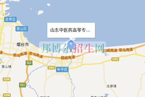 山東中醫(yī)藥高等?？茖W(xué)校