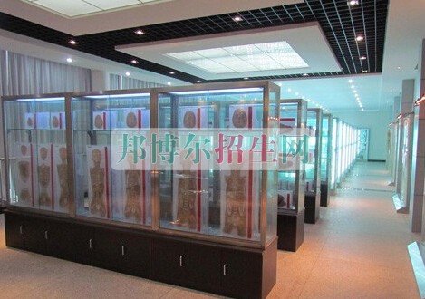 益陽醫(yī)學(xué)高等?？茖W(xué)校