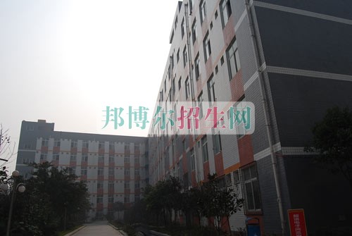 成都哪些大學有計算機網(wǎng)絡技術(shù)大專