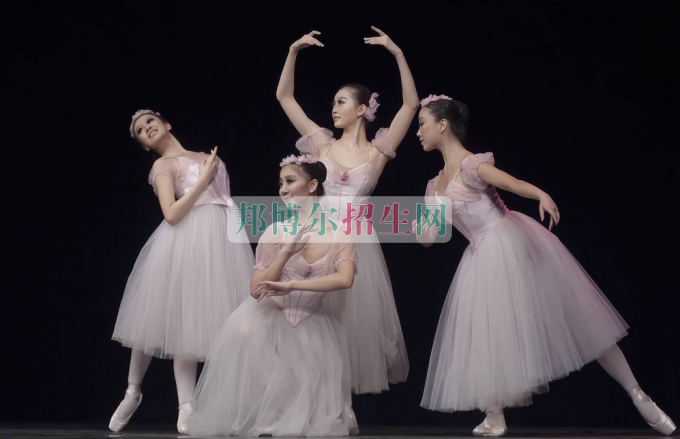 成都內(nèi)理科一專藝術(shù)教育大專學校