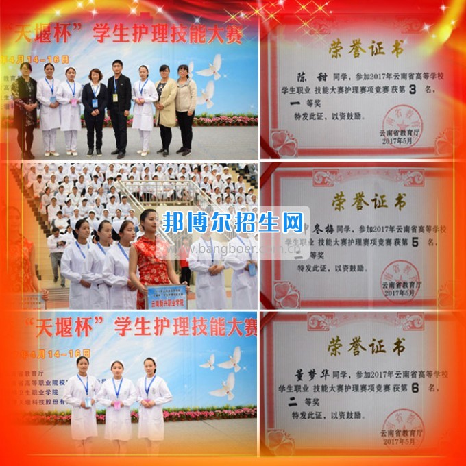 云南新興職業(yè)學院學生參加2017年全國、全省技能大賽斬獲佳績