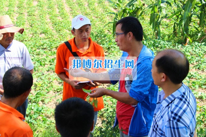 貴州師范大學(xué)求是學(xué)院領(lǐng)導(dǎo)攜專(zhuān)家一行看望慰問(wèn)學(xué)院赴德江暑期“三下鄉(xiāng)”服務(wù)隊(duì)