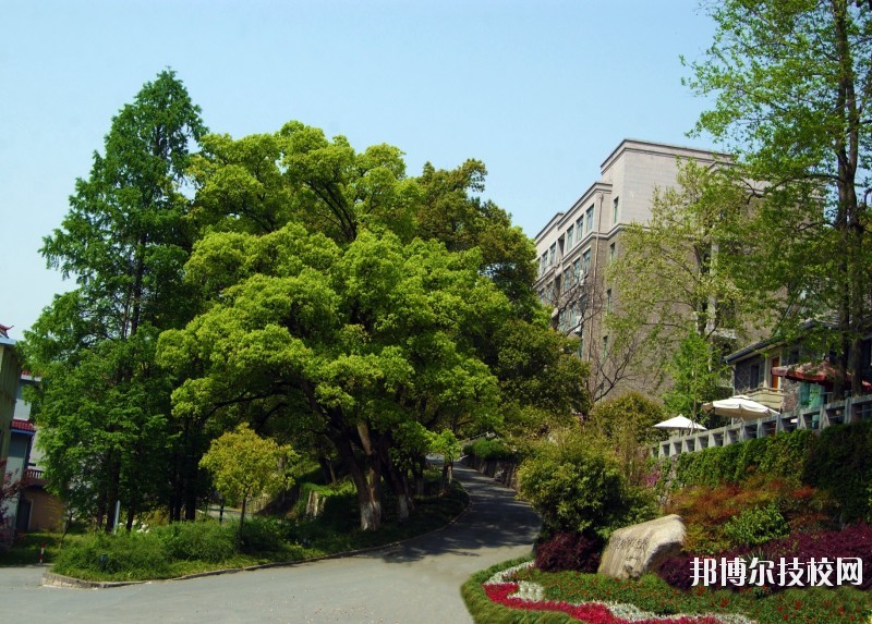中國(guó)美術(shù)學(xué)院附屬中等美術(shù)學(xué)校2020年報(bào)名條件、招生要求、招生對(duì)象