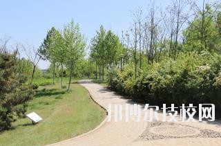 石家莊中英航空中等專業(yè)學校2020年報名條件、招生要求、招生對象
