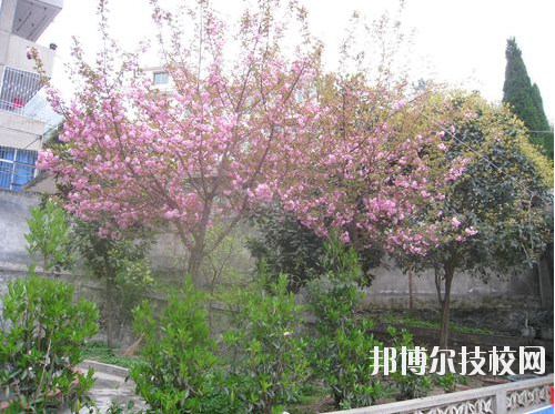 嵐皋縣中等職業(yè)技術(shù)學(xué)校2020年報名條件、招生要求、招生對象