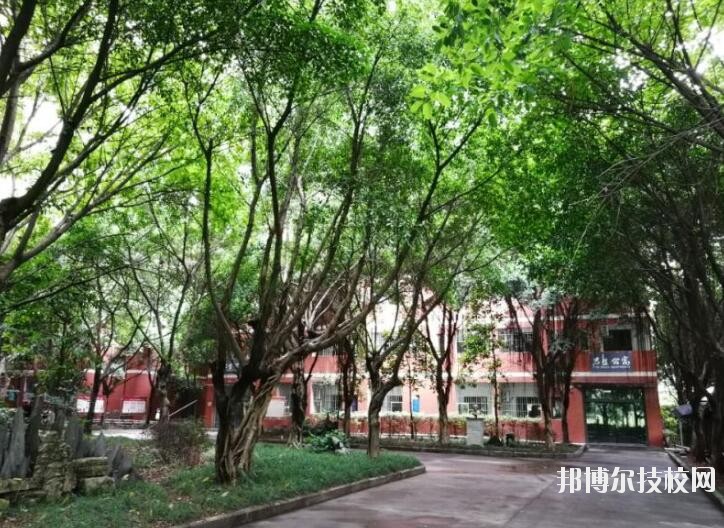 重慶舞蹈學(xué)校2020年報(bào)名條件、招生要求、招生對象