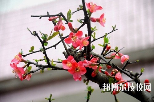 貴州廣播電影電視學(xué)校怎么樣、好不好