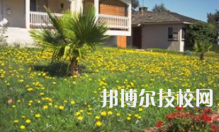 同學(xué)們需要依據(jù)自己所了解的情況來選擇學(xué)校，那么這也決定看同學(xué)們需要去了解這些學(xué)校的招生簡章，以便可以清楚的了解學(xué)校信息。下面就由小編給同學(xué)們介紹的有關(guān)于蘭州園藝學(xué)校招生簡章以及相關(guān)情況，以供大家參考了解。  蘭州園藝學(xué)校層次：中專  蘭州園藝學(xué)校性質(zhì)：公辦  蘭州園藝學(xué)校地址：蘭州市西固區(qū)范家坪  蘭州園藝學(xué)校介紹 蘭州園藝學(xué)校是全省唯一一所園藝、設(shè)施園藝、園林花卉、生態(tài)環(huán)境保護(hù)、建筑裝飾、旅游服務(wù)管理、計算機網(wǎng)絡(luò)技術(shù)、古建筑油漆彩畫等專業(yè)為一體的國辦全日制普通中等專業(yè)學(xué)校。  學(xué)校地處全省政治經(jīng)濟(jì)文化中心蘭州市,占地面積8萬平方米。有各類教學(xué)實驗室14個，擁有圖書館、閱覽室、組培室、微機室、語音室、電教室、校園網(wǎng)等各類教學(xué)設(shè)施。校園環(huán)境幽靜、空氣清新、規(guī)劃科學(xué)、設(shè)計獨特。校園內(nèi)溫?zé)釒Щɑ芷贩N齊全，三季有花，四季常青，教學(xué)生活設(shè)施齊全，師資力量雄厚校風(fēng)優(yōu)良。學(xué)校在珠海、深圳、上海、昆明、蘭州和平牡丹園等地有多處實習(xí)基地。學(xué)校以獨特的專業(yè)設(shè)置，超長的市場預(yù)測和嚴(yán)格的管理，為社會培養(yǎng)了大批實用型中等專業(yè)人才，畢業(yè)生就業(yè)面積廣，就業(yè)率高。  了解了蘭州園藝學(xué)校的信息后，就知道簡章也是可以用來選擇學(xué)校的。以上就是小編給大家整理的蘭州園藝學(xué)校招生簡章，想要了解更多有關(guān)于學(xué)校信息的同學(xué)們是可以直接咨詢了解邦博爾相關(guān)網(wǎng)站。