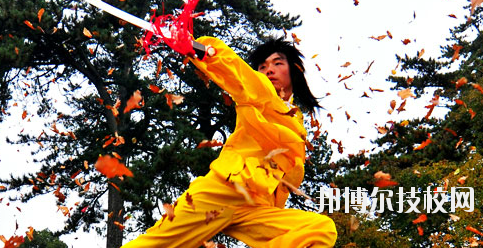 平?jīng)鲠轻嘉奈鋵W(xué)校2020年報名條件、招生要求、招生對象