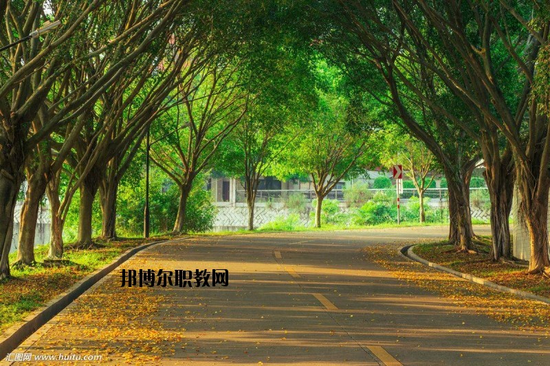 仙桃金園職業(yè)高級中學(xué)2020年報(bào)名條件、招生要求、招生對象