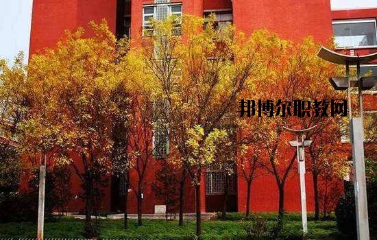 鶴峰職業(yè)技術(shù)學(xué)校2020年報(bào)名條件、招生要求、招生對(duì)象