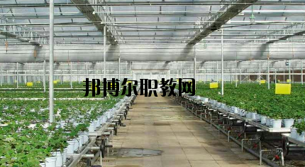 隴南農(nóng)業(yè)學(xué)校怎么樣、好不好