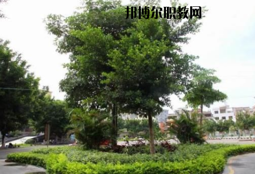 羅定中等職業(yè)技術(shù)學(xué)校2020年報名條件、招生要求、招生對象