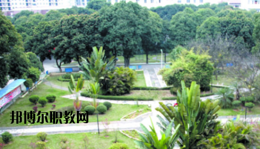 廣西百色農(nóng)業(yè)學(xué)校2020年報(bào)名條件、招生要求、招生對(duì)象 