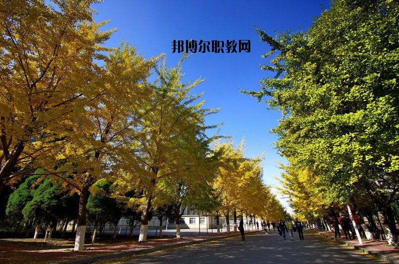 浠水理工中等專業(yè)學(xué)校怎么樣、好不好