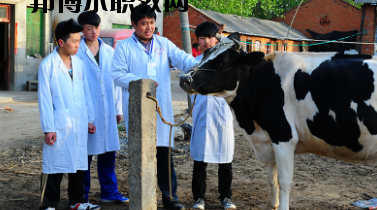 甘南畜牧學(xué)校2020年學(xué)費(fèi)、收費(fèi)多少