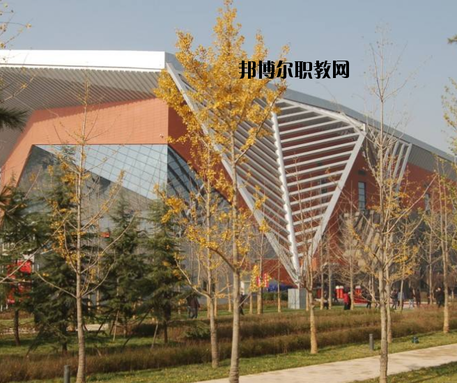 宜昌體育運動學(xué)校怎么樣、好不好