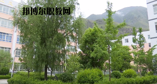 文縣職業(yè)技術(shù)學(xué)校2020年報名條件、招生要求、招生對象