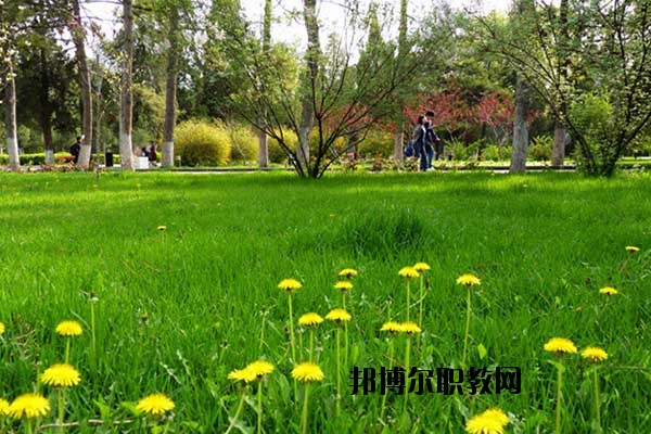 雙江縣職教中心怎么樣、好不好