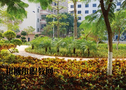 湛江技師學院怎么樣、好不好