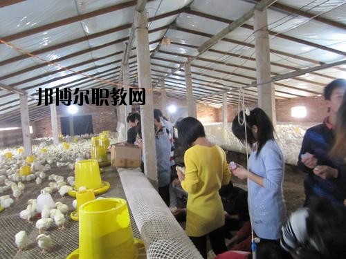 通許中等職業(yè)學(xué)校2021年學(xué)費(fèi)、收費(fèi)多少