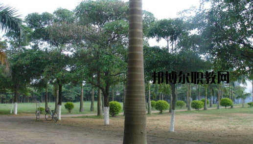 合浦石康職業(yè)技術(shù)學(xué)校怎么樣、好不好
