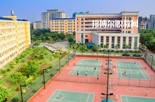 湛江市寸金中等專業(yè)學校網站網址