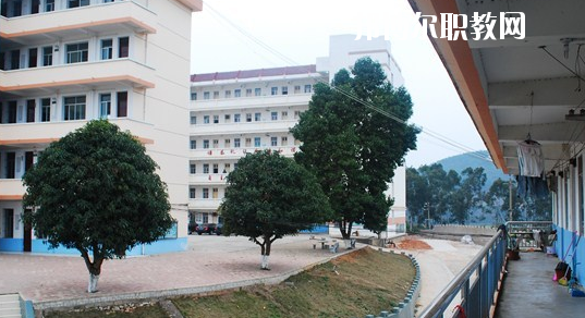 扶綏縣職業(yè)技術(shù)學(xué)校2020年招生辦聯(lián)系電話(huà)