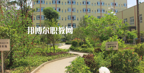 道真中等職業(yè)學(xué)校怎么樣、好不好