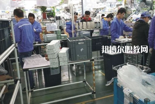 遂溪縣職業(yè)技術(shù)學(xué)校2020年報名條件、招生要求、招生對象