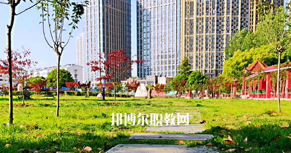 合肥飛躍學(xué)校2020年報(bào)名條件、招生要求、招生對(duì)象 