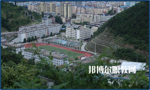 廣元朝天職業(yè)中學(xué)2020年報(bào)名條件、招生要求、招生對象