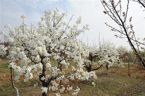 宿遷高等師范學(xué)校怎么樣、好不好