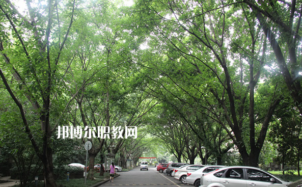 重慶2021年中專學(xué)?？梢钥即髮W(xué)嗎