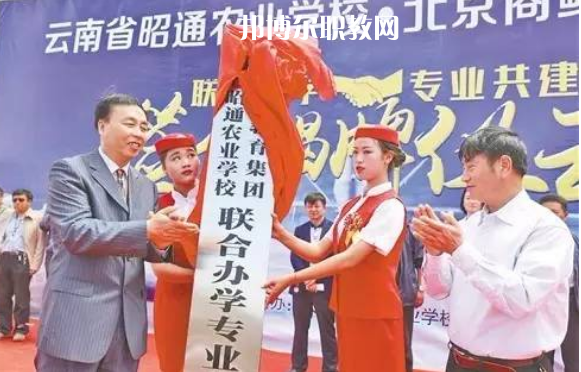 昭通農業(yè)學校2021年招生錄取分數線