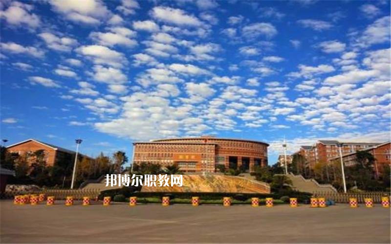 保山中醫(yī)藥高等?？茖W(xué)校網(wǎng)站網(wǎng)址
