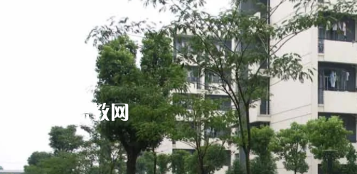 安徽工商行政管理學校怎么樣、好不好