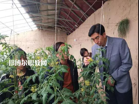 甘肅省臨夏州職業(yè)技術(shù)學(xué)校2022年學(xué)費、收費多少