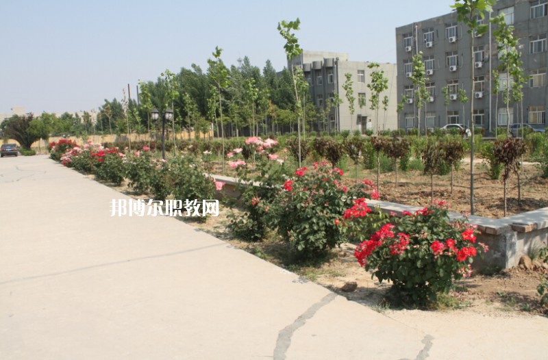 武強(qiáng)綜合職業(yè)技術(shù)教育中心2022年報(bào)名條件、招生要求、招生對(duì)象