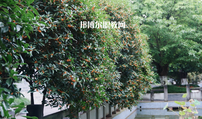 德陽通用電子科技學(xué)校怎么樣、好不好