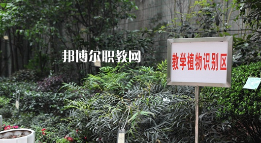 重慶風景園林技工學校2022年學費、收費多少