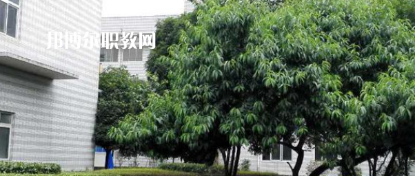 成都市中山職業(yè)技術(shù)學(xué)校2022年報(bào)名條件、招生要求、招生對(duì)象