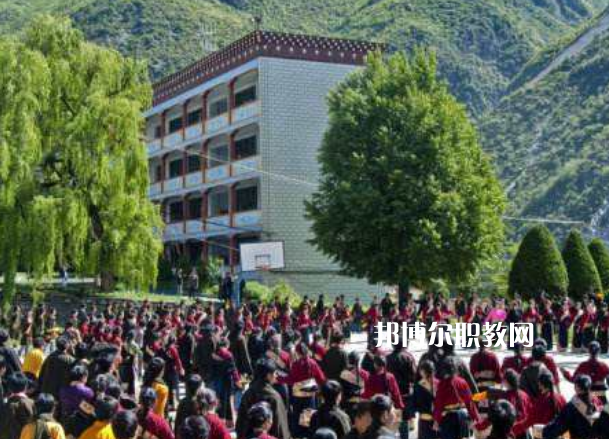 四川省藏文學(xué)校2022年報(bào)名條件、招生要求、招生對(duì)象