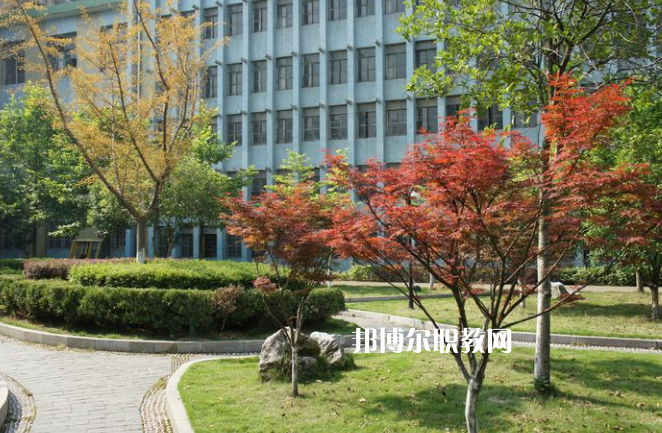 廉江市衛(wèi)生職業(yè)技術(shù)學(xué)校怎么樣、好不好