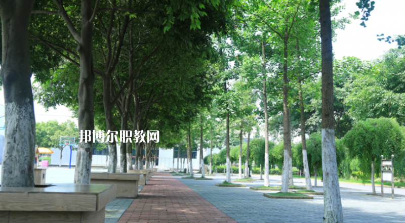 鎮(zhèn)雄縣職業(yè)高級中學2022年報名條件、招生要求、招生對象