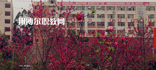 岑溪市中等專(zhuān)業(yè)學(xué)校2022年報(bào)名條件、招生要求、招生對(duì)象