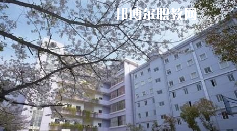 武漢體育舞蹈藝術(shù)學(xué)校2022年怎么樣、好不好