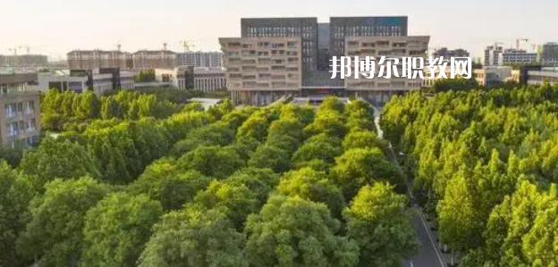 2023山東十大?？茖W(xué)校名單及排行榜