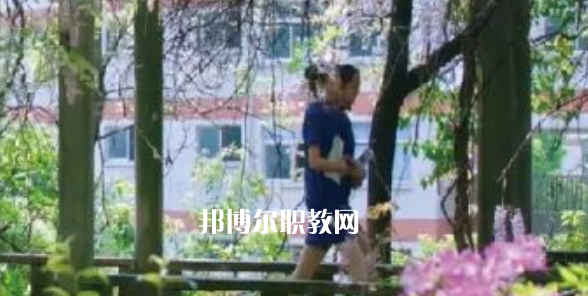 2023金華市成功學校招生計劃 招生人數(shù)是多少(附要求、條件、對象)
