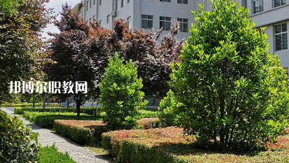 2023渭南技師學院招生計劃 招生人數(shù)是多少(附要求、條件、對象)